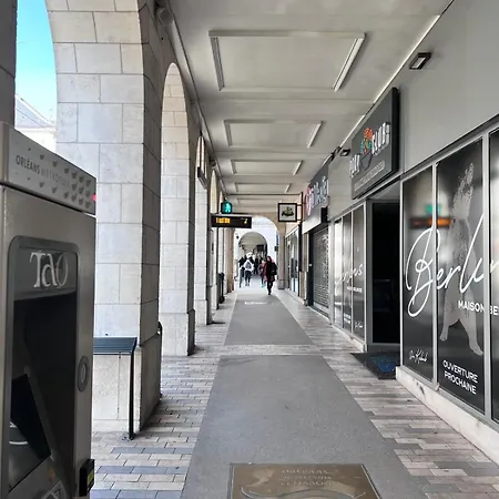 Appartement Au Duleing House Orleans Exterior photo
